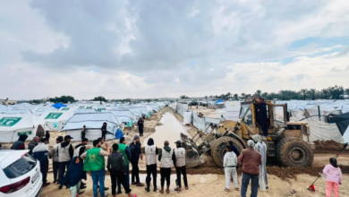 مركز الملك سلمان ينشئ مخيمات إيواء للنازحين في غزة