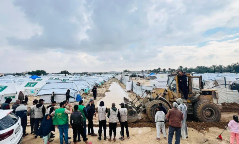 مركز الملك سلمان ينشئ مخيمات إيواء للنازحين في غزة
