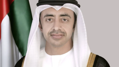 عبدالله بن زايد يدعو لوقف فوري للنار في السودان: تفاصيل الموقف