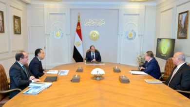 تحويلات المغتربين وأزمة العملة في مصر: تحليل اقتصادي شامل