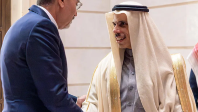 فيصل بن فرحان والصفدي يبحثان مستجدات المنطقة وغزة