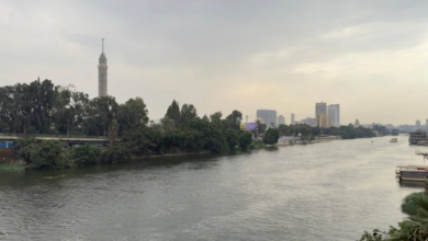 مصر تثمن جهود السعودية والإمارات في اليمن ودعم الاستقرار