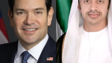 عبد الله بن زايد وماركو روبيو يبحثان تطورات غزة واليمن