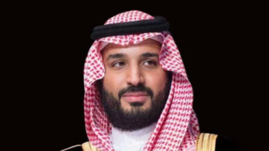 محمد بن سلمان وشهباز شريف يناقشان التطورات الإقليمية