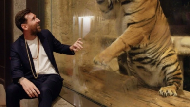 الهند تطلق اسم ميسي على شبل أسد: تكريم الأسطورة