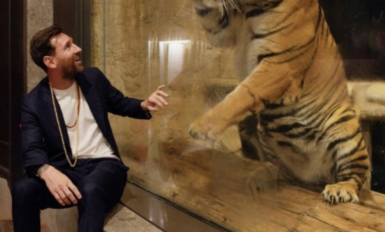 الهند تطلق اسم ميسي على شبل أسد: تكريم الأسطورة