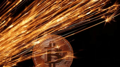 البيتكوين يهدد سيادة أفريقيا الوسطى: أزمة مشروع سانغو