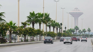 عودة الكهرباء بالشرقية: تحقيق عاجل وتعويضات للمتضررين