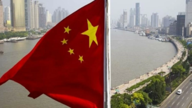 الصين تفرض رسوم إغراق على الألبان الأوروبية رداً على أوروبا