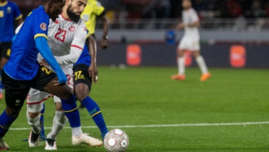 نيجيريا وتونس تتأهلان للدور الثاني بكأس الأمم الأفريقية