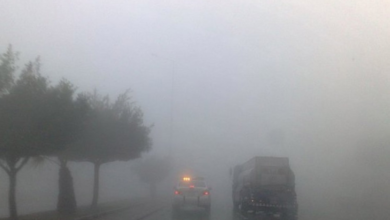 حالة الطقس اليوم: ضباب كثيف يغطي 11 منطقة وتنبيهات للأرصاد