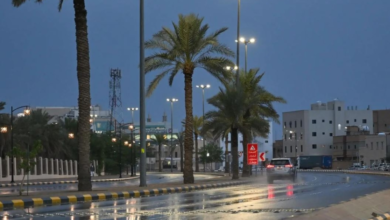 طقس السعودية اليوم الجمعة: أمطار رعدية وضباب بـ 8 مناطق
