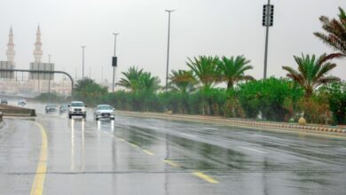 طقس السعودية: أمطار طريف والقريات وضباب الجوف