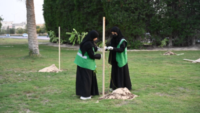 زراعة 50 شجرة ظل في ممشى سيهات بمشاركة 35 متطوعاً