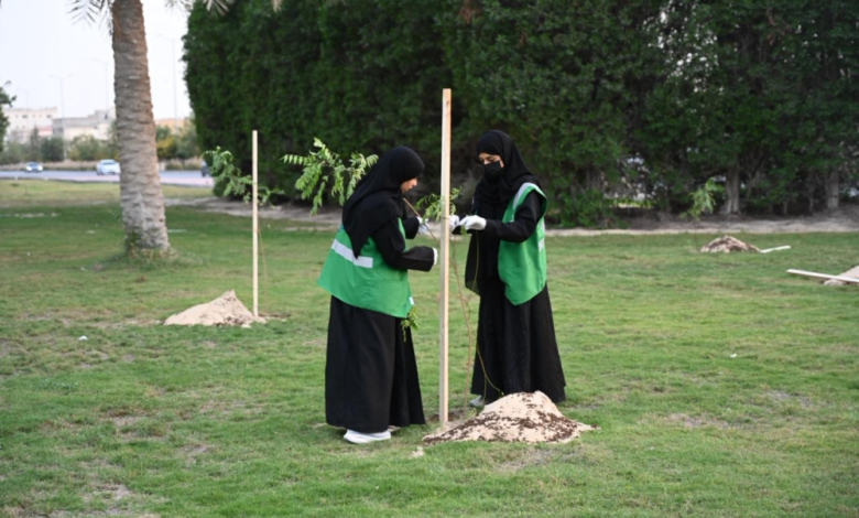 زراعة 50 شجرة ظل في ممشى سيهات بمشاركة 35 متطوعاً