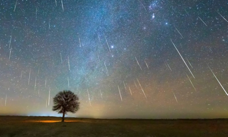 ذروة شهب التوأميات 2025 في السعودية.. الموعد وطريقة الرصد