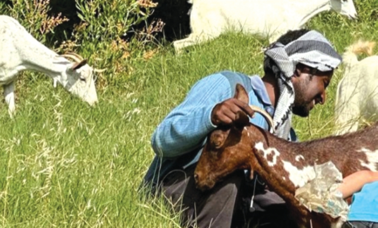 New regulations for agricultural and pastoral workers: rights, working hours, and leave