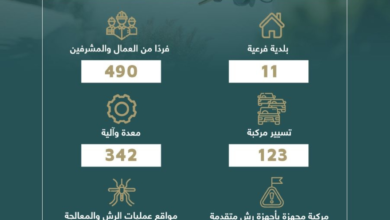 أمانة جدة تعالج 159 موقعاً للمياه وتكافح البعوض بعد الأمطار