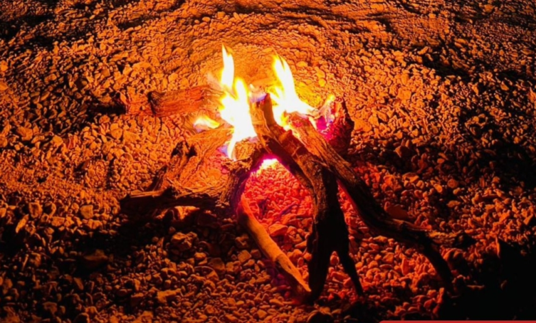 ضبط مخالفين لنظام البيئة وحطب محلي بالرياض - العقوبات والتفاصيل