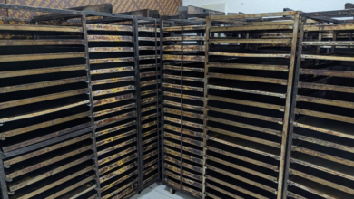 أمانة جدة تضبط 10 أطنان مخبوزات فاسدة وتغلق موقعاً مخالفاً