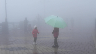 حالة الطقس اليوم: ضباب كثيف يغطي 8 مناطق وتنبيهات من الأرصاد