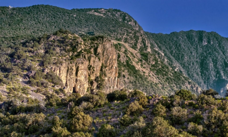 غرامة 2000 ريال لدهس الغطاء النباتي ودخول المحميات بالسعودية