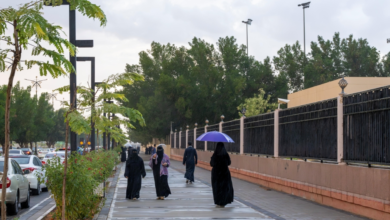 الأرصاد: أمطار ورياح في تبوك وحائل وتنبيهات هامة