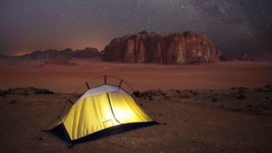 ضبط مخالفات بيئية بالرياض: عقوبات الرعي والاحتطاب