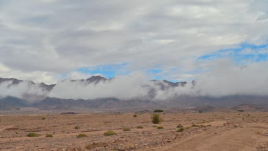 أمطار حقل اليوم: السحب تعانق الجبال ومشاهد طبيعية خلابة