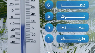 طريف تسجل 1 مئوية: تفاصيل طقس السعودية وتوقعات الثلوج