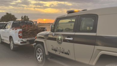 ضبط بيع الحطب المحلي بالمدينة ومخالفات حدودية في عسير