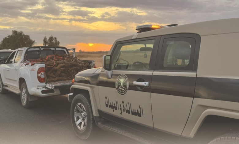 ضبط بيع الحطب المحلي بالمدينة ومخالفات حدودية في عسير