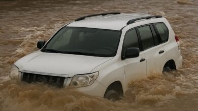 تحذير المرور من عبور الأودية: غرامات ومخاطر القيادة في الأمطار