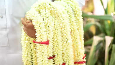 الأعشاب العطرية في جازان: تراث يعبق برائحة التاريخ والجمال