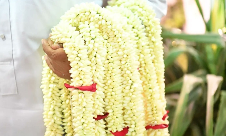 الأعشاب العطرية في جازان: تراث يعبق برائحة التاريخ والجمال