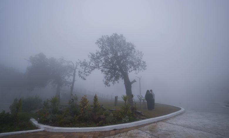 ضباب الشرقية: تنبيهات الأرصاد وتدني الرؤية بمدن المنطقة
