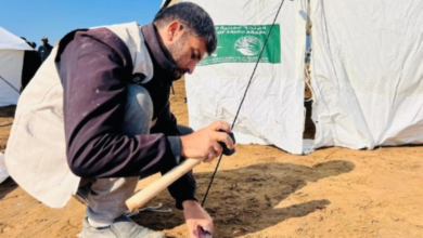 مركز الملك سلمان يقيم مخيماً لإيواء النازحين في غزة