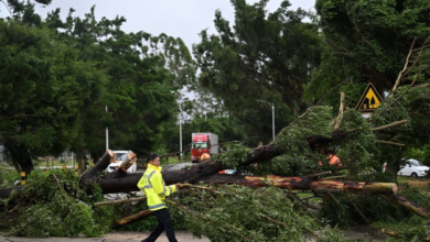 الصين تطلق الإنذار الأزرق للعواصف: مناطق التأثير وتحذيرات الملاحة