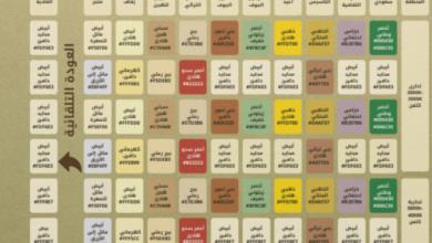 توحيد أكواد الإنارة في الجوف: معايير جديدة للهوية البصرية