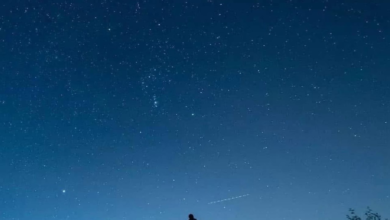 ذروة شهب الدبيات 2025: موعد الظاهرة وكيفية رصدها عربياً