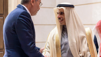 وزير الخارجية يبحث مع الصفدي تعزيز العلاقات ومستجدات المنطقة