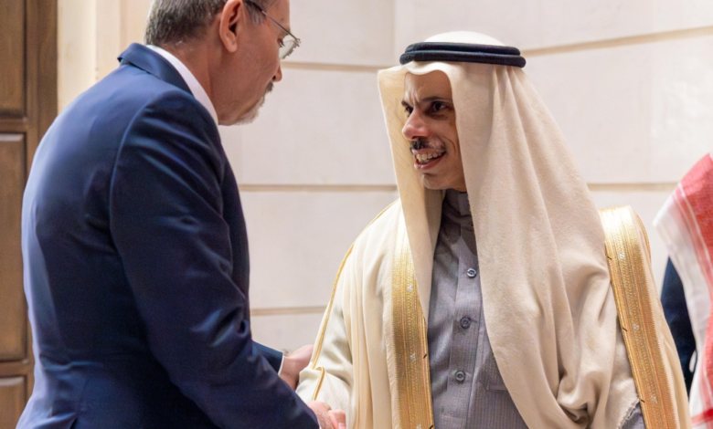 وزير الخارجية يبحث مع الصفدي تعزيز العلاقات ومستجدات المنطقة