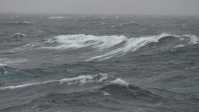 حالة الطقس اليوم: أمطار رعدية وضباب على مناطق المملكة