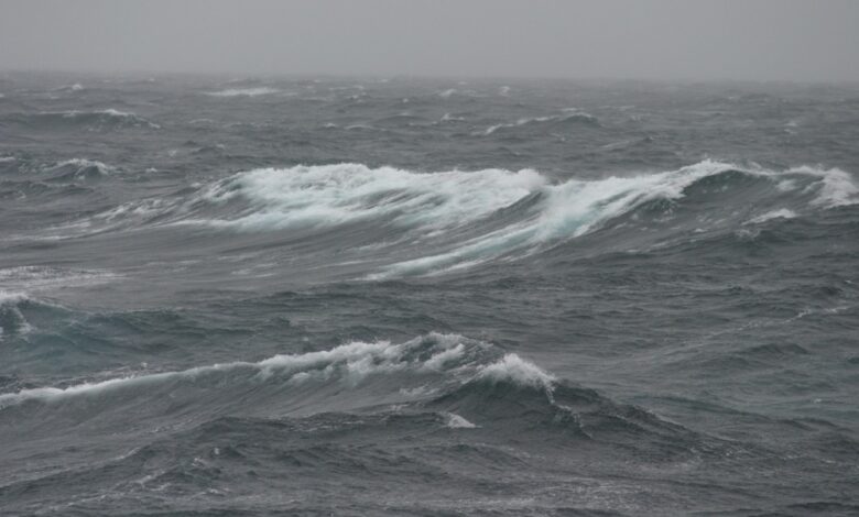 حالة الطقس اليوم: أمطار رعدية وضباب على مناطق المملكة