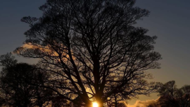 لماذا يتأخر الفجر بعد الانقلاب الشتوي رغم طول النهار؟