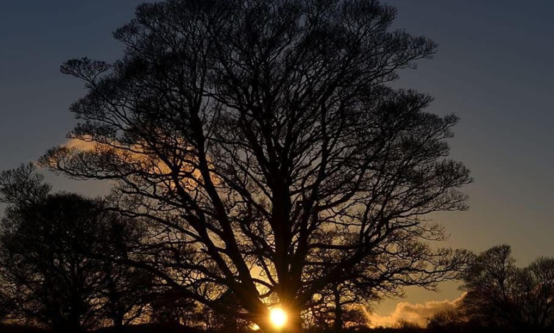 لماذا يتأخر الفجر بعد الانقلاب الشتوي رغم طول النهار؟