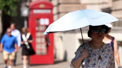المملكة المتحدة تتجه لتسجيل العام الأكثر حرارة تاريخياً