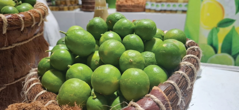 أشجار الليمون تضخ 123 ألف طن للأسواق السعودية - اليوم