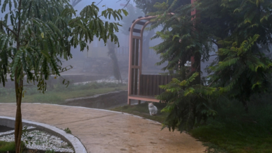 حالة الطقس اليوم: ضباب كثيف وتدني الرؤية في 9 مناطق سعودية