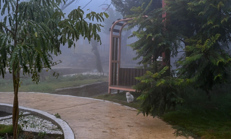 حالة الطقس اليوم: ضباب كثيف وتدني الرؤية في 9 مناطق سعودية